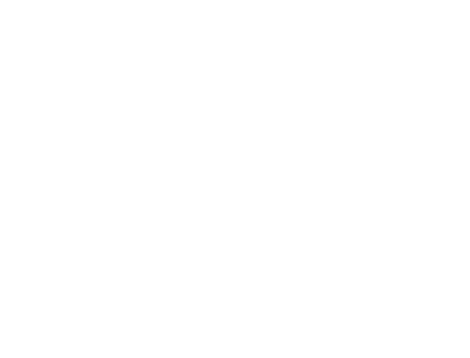 Kiri Burger and Bowl